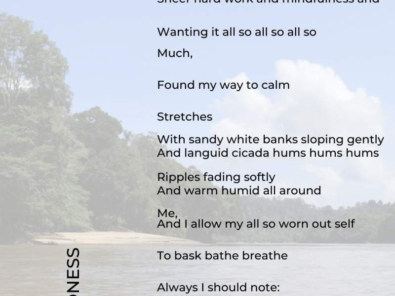 The River, i.e.&nbsp;Madness