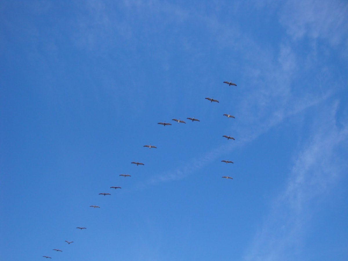 Poems from dear&nbsp;friends