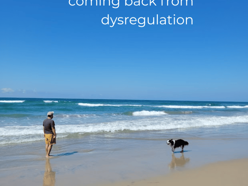 Coming Back From&nbsp;Dysregulation